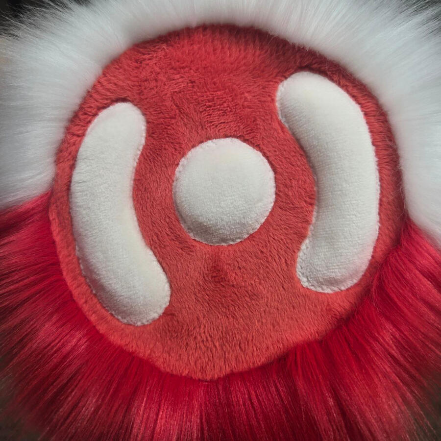 Tail Base Gore Detail